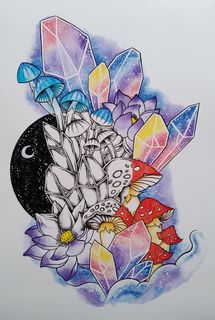Lotus Night