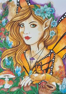 SUNSET MONARCH